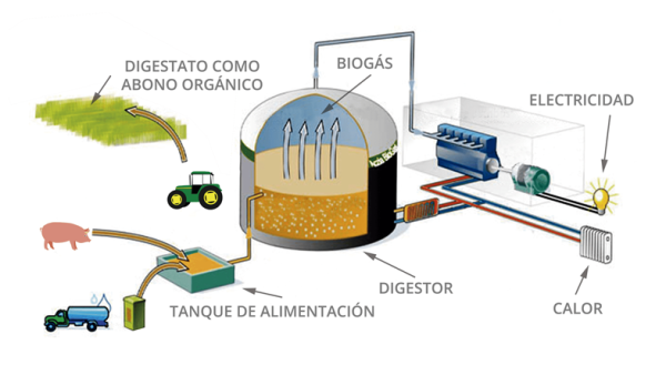 Esquema biogas El purín